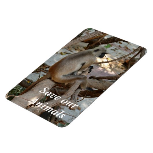 Grey Langur - Neem een Rest Magneet (Linkerzijde)