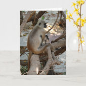 Grey Langur - Take a Rest Kaart (Gele Bloem)