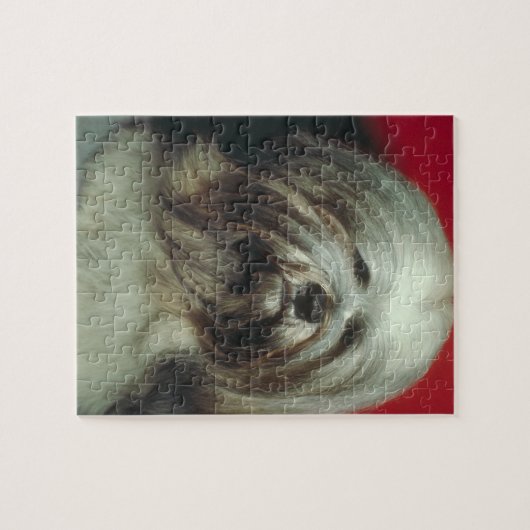 Grey Lhasa Apso Dog Puzzle Legpuzzel (Horizontaal)