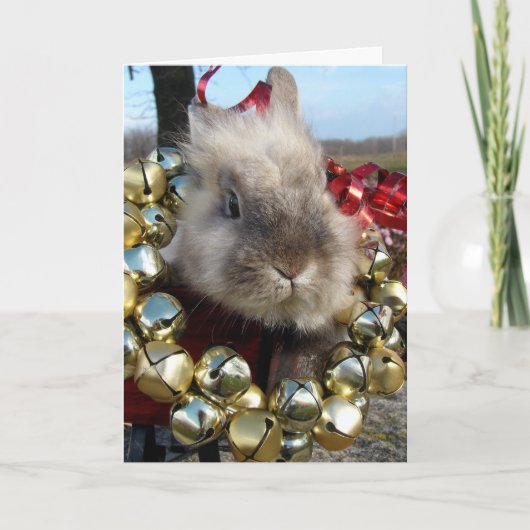 Grey Lionhead Bunny Christmas Feestdagen Kaart (Voorkant)