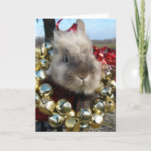 Grey Lionhead Bunny Christmas Feestdagen Kaart