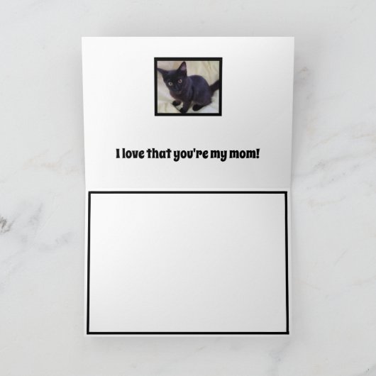 Grey Moederkat & Black Kitten Happy Moederdag Kaart (Binnen)