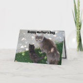 Grey Moederkat & Black Kitten Happy Moederdag Kaart (Voorkant)