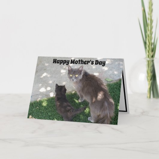 Grey Moederkat & Black Kitten Happy Moederdag Kaart (Voorkant)