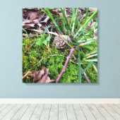 Grey Morel op canvas (Insitu (Houten vloer))