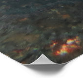 Grey Nurse Shark Poster (Hoek)