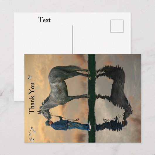 Grey Paard en bruidegom OTTB Briefkaart (Voorkant / Achterkant)