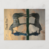 Grey Paard en bruidegom OTTB Briefkaart (Voorkant)