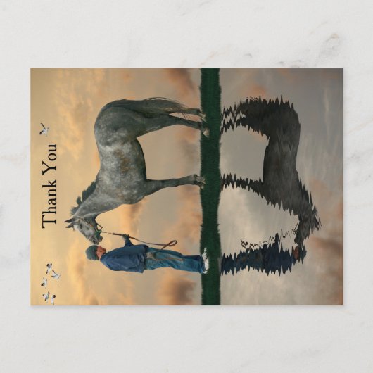 Grey Paard en bruidegom OTTB Briefkaart (Voorkant)