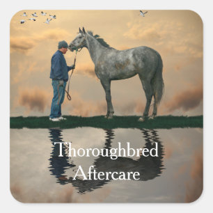 Grey Paard en bruidegom OTTB Stickers