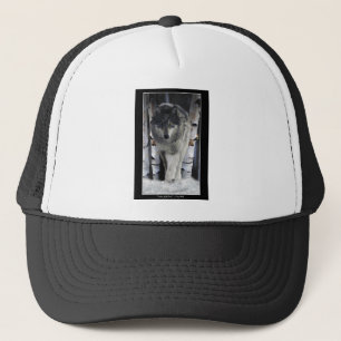 Grey Pack Wolf Alpha Wildlife Art Pet