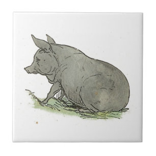 Grey Pig Kinderboek Piggy Boerderij Animal Art Tegeltje