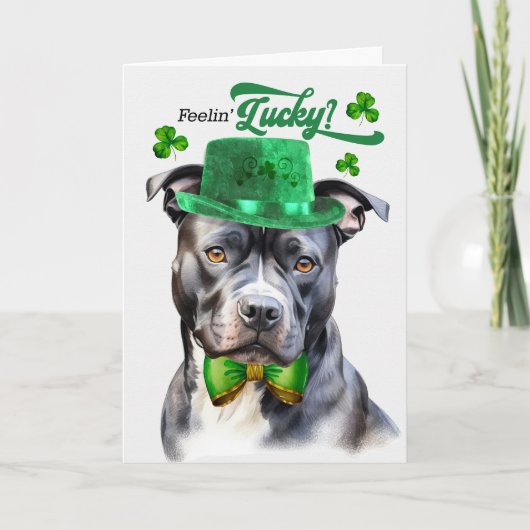 Grey Pit Bull Dog Feelin' Lucky St Patrick's Day Feestdagen Kaart (Voorkant)