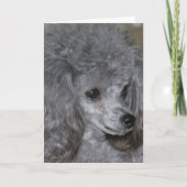Grey Poodle Note Kaart (Voorkant)