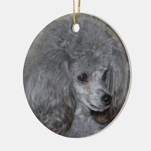 Grey Poodle Ornament (Links)