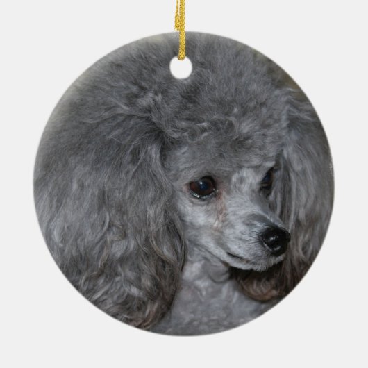Grey Poodle Ornament (Achterkant)