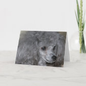 Grey Poodle Wenskaarten Kaart (Voorkant)