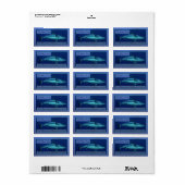 Grey Reef Shark Adresetiketten Etiket (Full Sheet)