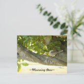 Grey rouwende duif vogel Briefkaart (Staand voorkant)