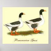 Grey Saddleback Geese Poster (Voorkant)