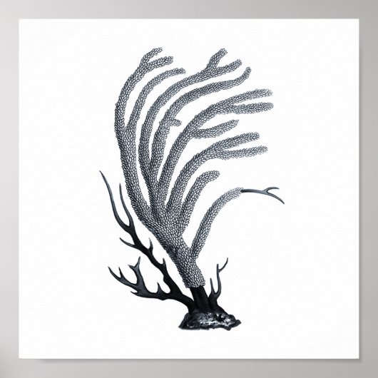 Grey Sealife groep 12A Afdrukken #11 Zee koraal Poster (Voorkant)