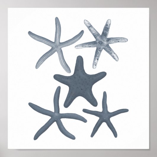 Grey Sealife Group12A print #3 Starfish (Voorkant)