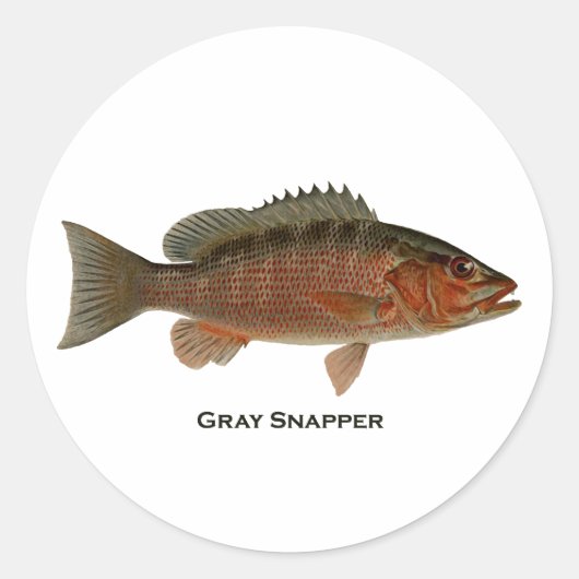 Grey Snapper Logo Ronde Sticker (Voorkant)