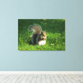 Grey Squirrel, Bute Park, Cardiff Canvas Afdruk (Insitu (Houten vloer))