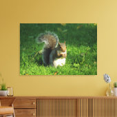 Grey Squirrel, Bute Park, Cardiff Canvas Afdruk (Insitu (Woonkamer))