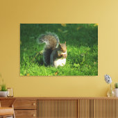 Grey Squirrel, Bute Park, Cardiff Canvas Afdruk (Insitu (Woonkamer))