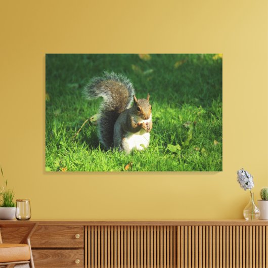 Grey Squirrel, Bute Park, Cardiff Canvas Afdruk (Insitu (Woonkamer))