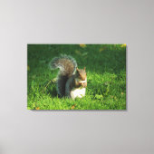Grey Squirrel, Bute Park, Cardiff Canvas Afdruk (Voorkant)