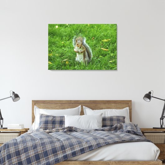 Grey Squirrel, Bute Park, Cardiff Canvas Afdruk (Insitu (Slaapkamer))