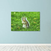 Grey Squirrel, Bute Park, Cardiff Canvas Afdruk (Insitu (Houten vloer))