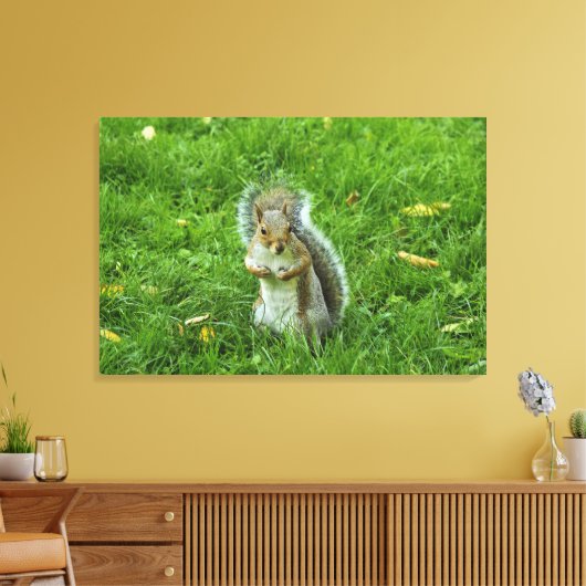 Grey Squirrel, Bute Park, Cardiff Canvas Afdruk (Insitu (Woonkamer))