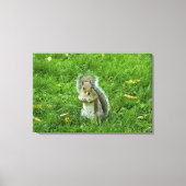 Grey Squirrel, Bute Park, Cardiff Canvas Afdruk (Voorkant)