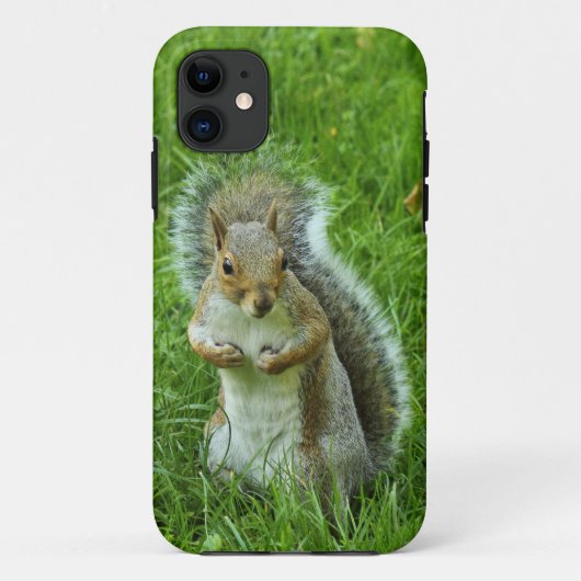 Grey Squirrel, Bute Park, Cardiff Case-Mate iPhone Case (Achterkant)