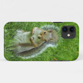 Grey Squirrel, Bute Park, Cardiff Case-Mate iPhone Case (Achterkant (horizontaal))