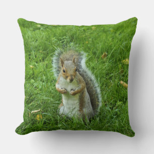 Grey Squirrel, Bute Park, Cardiff Kussen