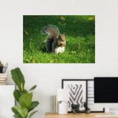 Grey Squirrel, Bute Park, Cardiff Poster (Thuiskantoor)