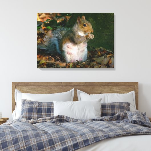 Grey Squirrel - Bute Park, Cardiff, Wales, VK Canvas Afdruk (Insitu (Slaapkamer))