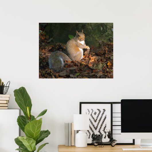 Grey Squirrel - Bute Park, Cardiff, Wales, VK Poster (Thuiskantoor)