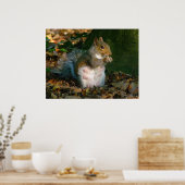 Grey Squirrel - Bute Park, Cardiff, Wales, VK Poster (Keuken)