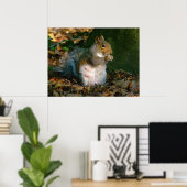 Grey Squirrel - Bute Park, Cardiff, Wales, VK Poster (Thuiskantoor)