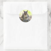 Grey Squirrel - Bute Park, Cardiff, Wales, VK Ronde Sticker (Tas)