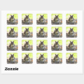 Grey Squirrel - Bute Park, Cardiff, Wales, VK Vierkante Sticker (Vel)