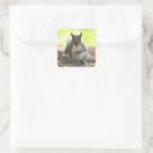 Grey Squirrel - Bute Park, Cardiff, Wales, VK Vierkante Sticker (Tas)