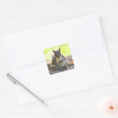 Grey Squirrel - Bute Park, Cardiff, Wales, VK Vierkante Sticker (Envelop)