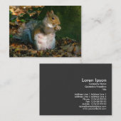 Grey Squirrel - Bute Park, Cardiff, Wales, VK Visitekaartje (Voorkant / Achterkant)