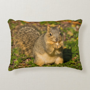 Grey Squirrel, eten, pinda, Crystal Springs Decoratief Kussen